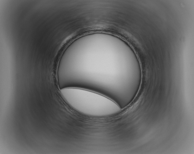 X0000112361210200908131227