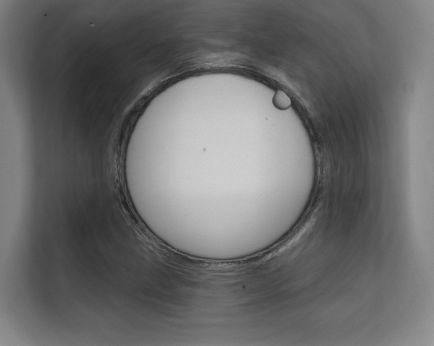 X0000112361211200908131227