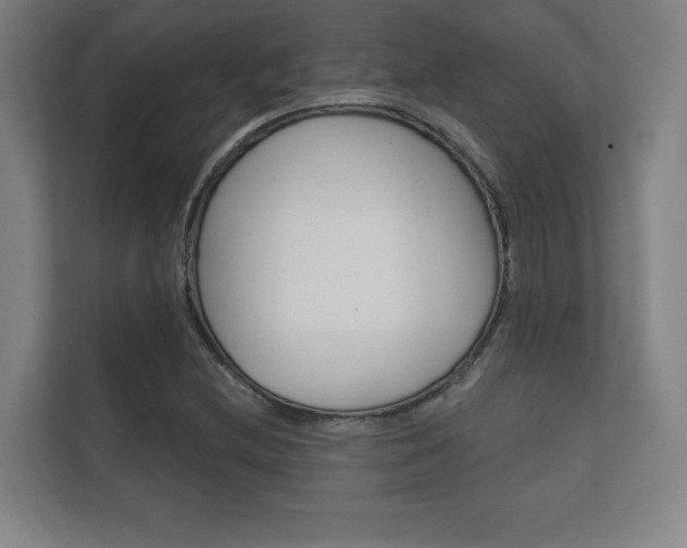X0000112361212200908131227