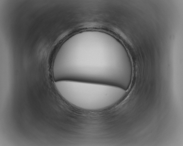 X0000112361213200908131227