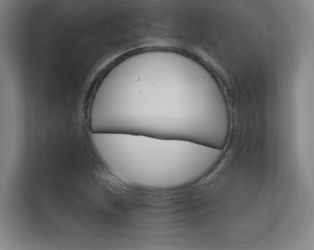 X0000112361215200908131228
