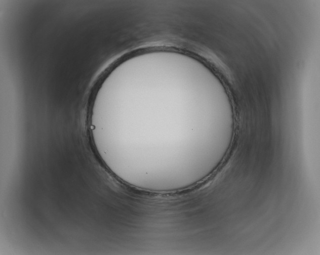 X0000112361216200908131228