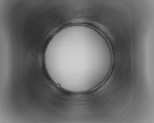 X0000112361217200908131228