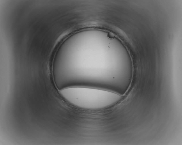 X0000112361218200908131228