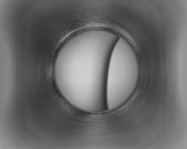 X0000112361220200908131228