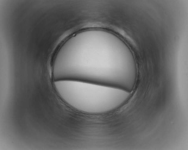 X0000112361221200908131228