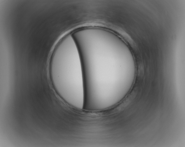 X0000112361224200908131228