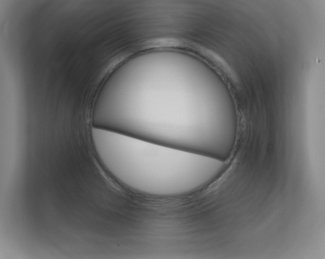 X0000112361225200908131228