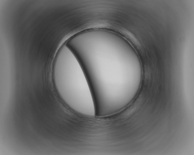 X0000112361226200908131228