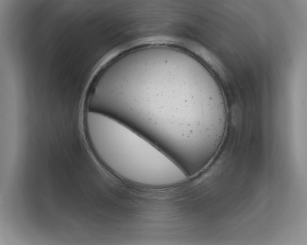 X0000112361229200908131228