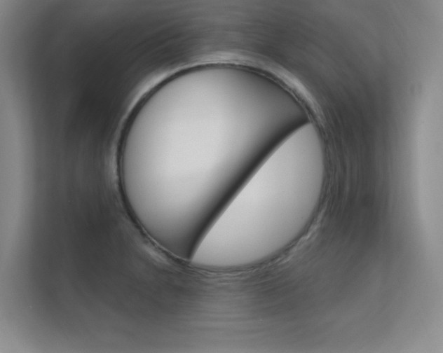 X0000112361230200908131228