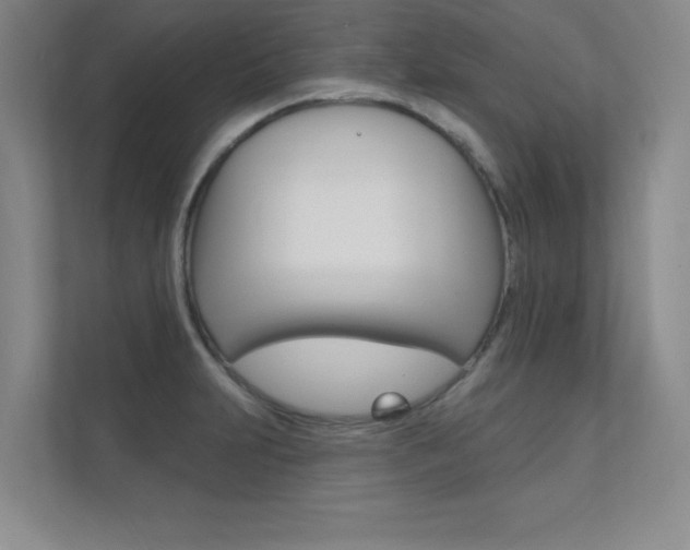 X0000112361231200908131228