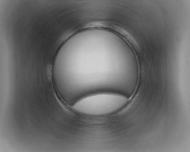 X0000112361233200908131228