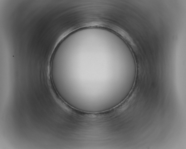 X0000112361234200908131228