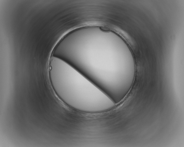 X0000112361236200908131228