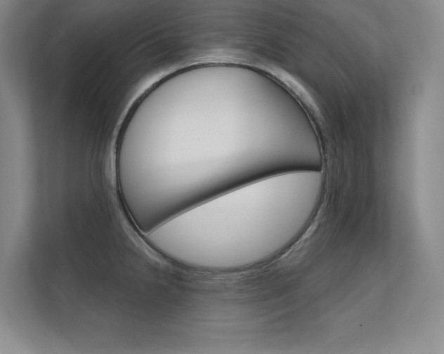 X0000112361238200908131228