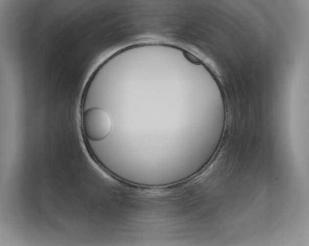 X0000112361239200908131228
