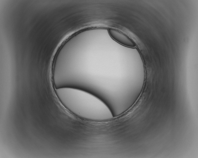 X0000112361240200908131228