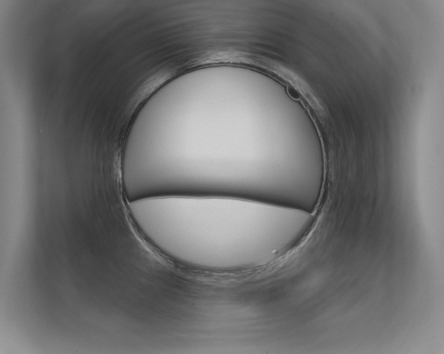 X0000112361241200908131228