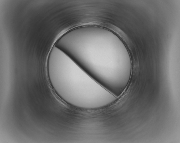X0000112361242200908131228
