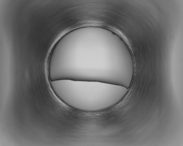 X0000112361243200908131228
