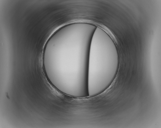 X0000112361244200908131228