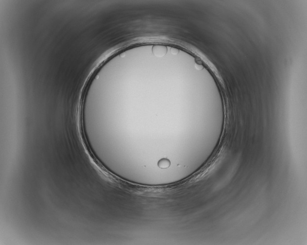 X0000112361245200908131228
