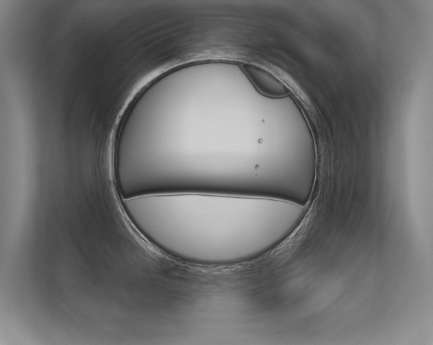 X0000112361246200908131228