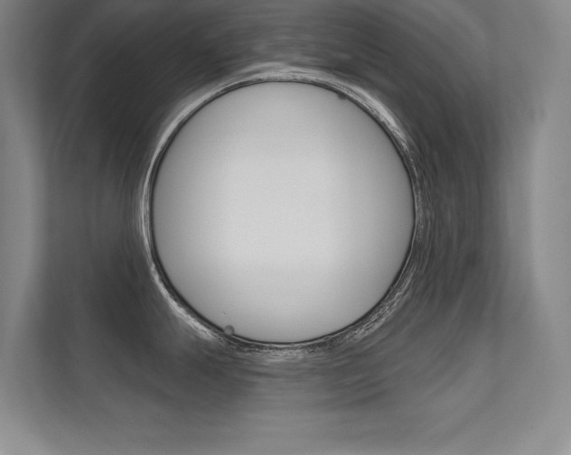 X0000112361247200908131228