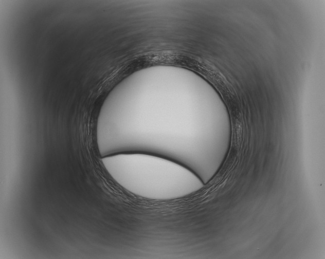 X0000112361250200908131227