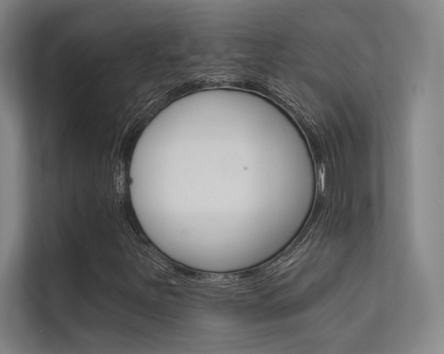 X0000112361251200908131227