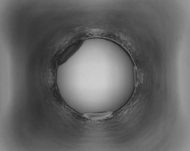 X0000112361253200908131227