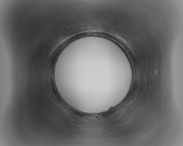 X0000112361255200908131227