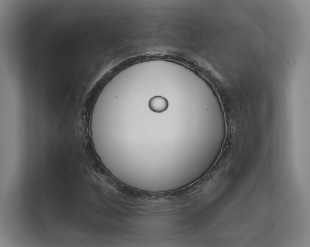 X0000112361256200908131227