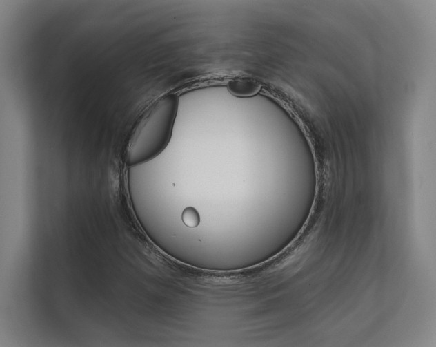 X0000112361257200908131227