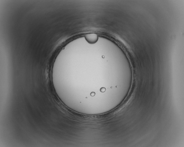 X0000112361259200908131227