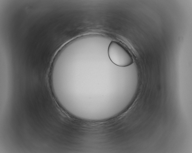 X0000112361260200908131227