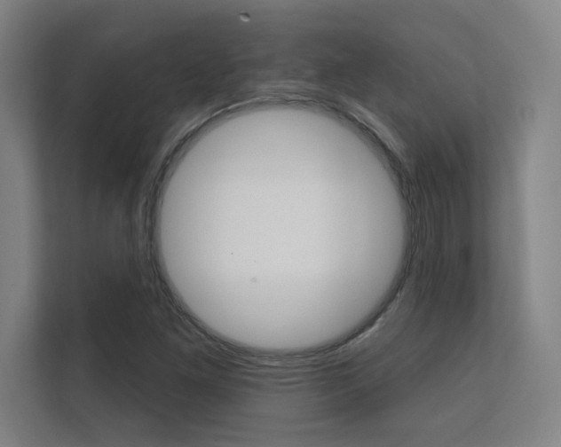 X0000112361261200908131227