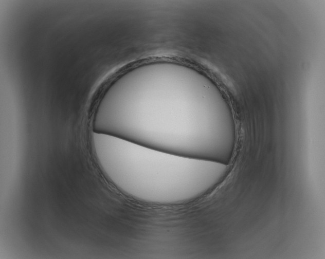 X0000112361262200908131227