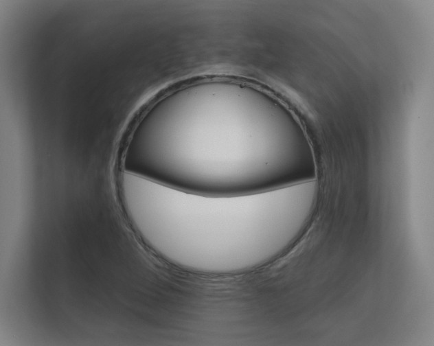 X0000112361264200908131227