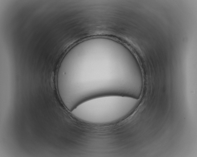 X0000112361265200908131227