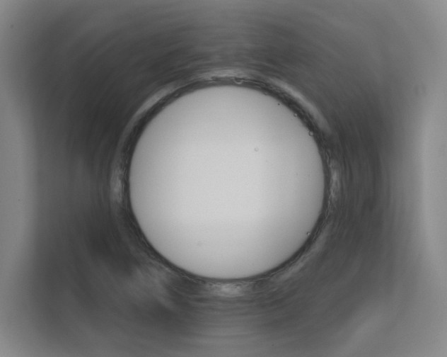 X0000112361266200908131227