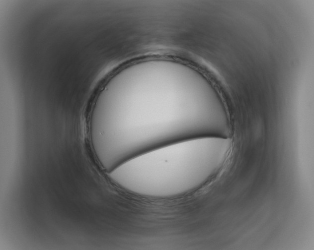 X0000112361267200908131227