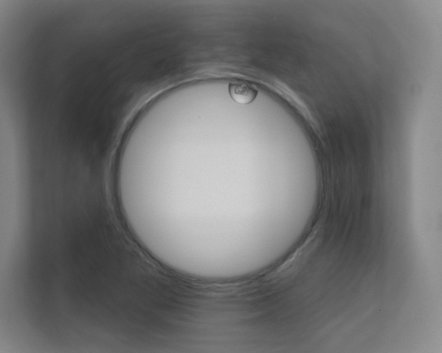 X0000112361269200908131227