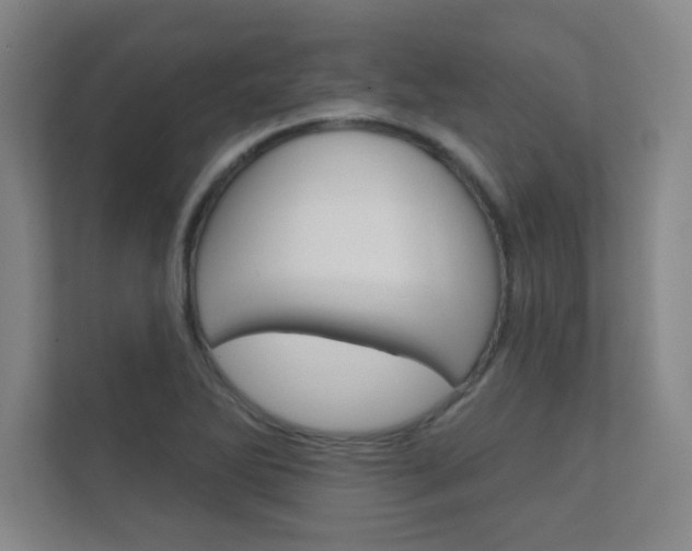 X0000112361270200908131227