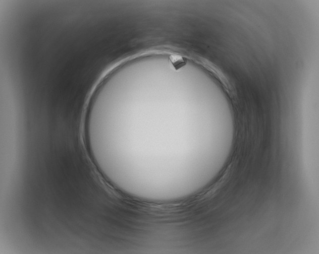 X0000112361272200908131227