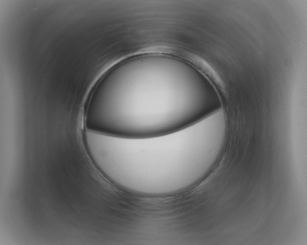 X0000112361276200908131227