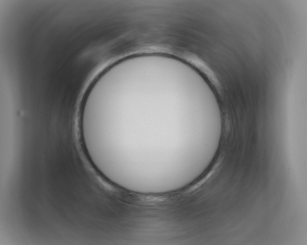 X0000112361278200908131227