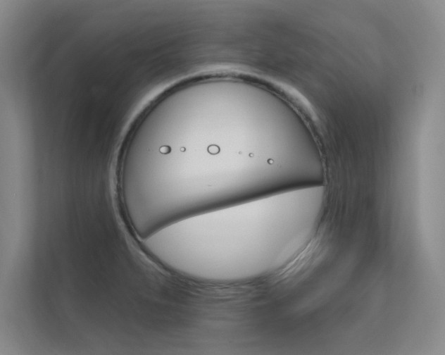 X0000112361279200908131227