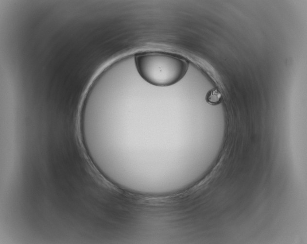 X0000112361280200908131227